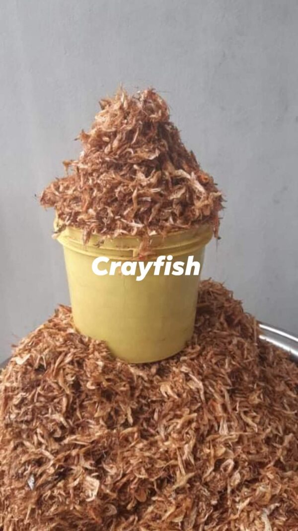 Oron crayfish